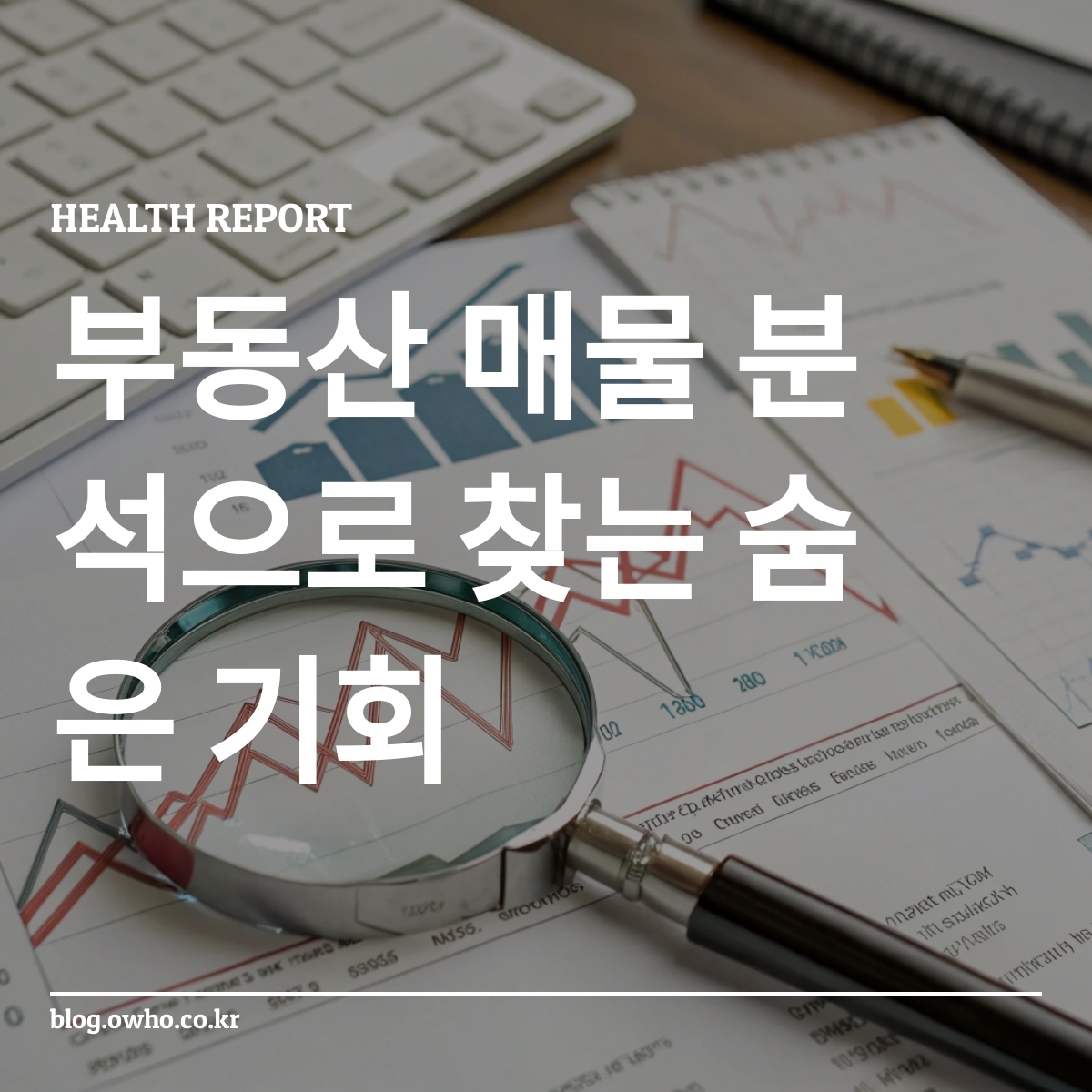 부동산 시장 동향 그래프와 숨은 기회를 찾는 돋보기