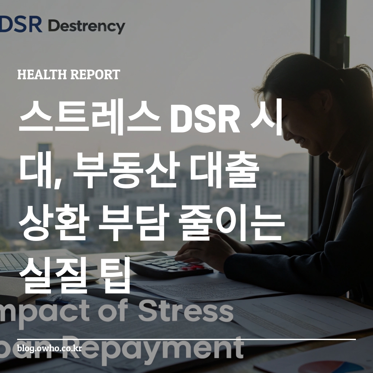 스트레스 DSR로 인한 대출 상환 부담 줄이기