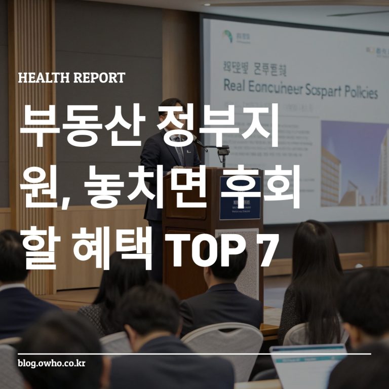 정부 官員이 서울에서 부동산 지원 정책을 설명하는 모습