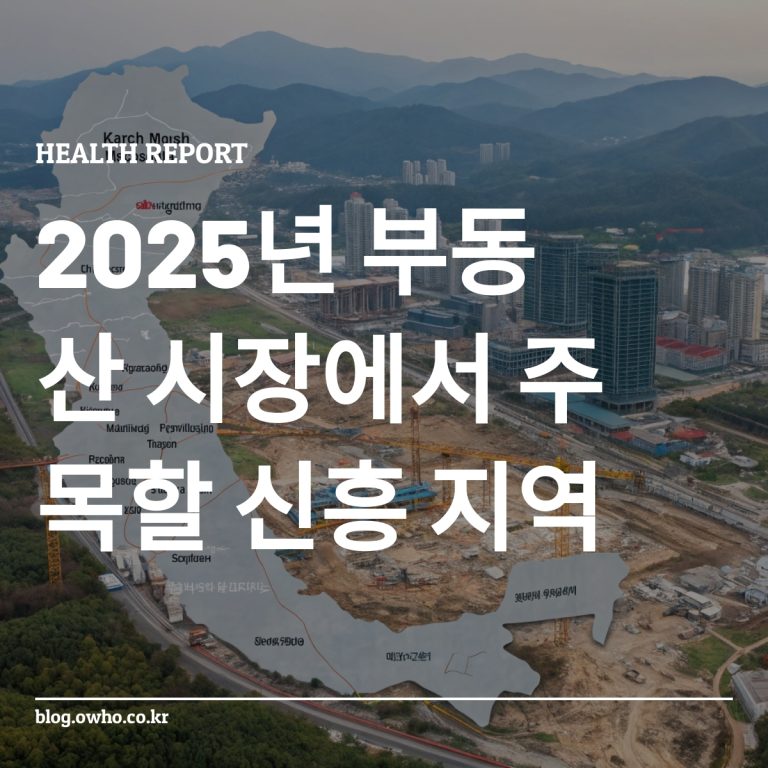 2025년 대한민국 부동산 시장의 신흥 지역