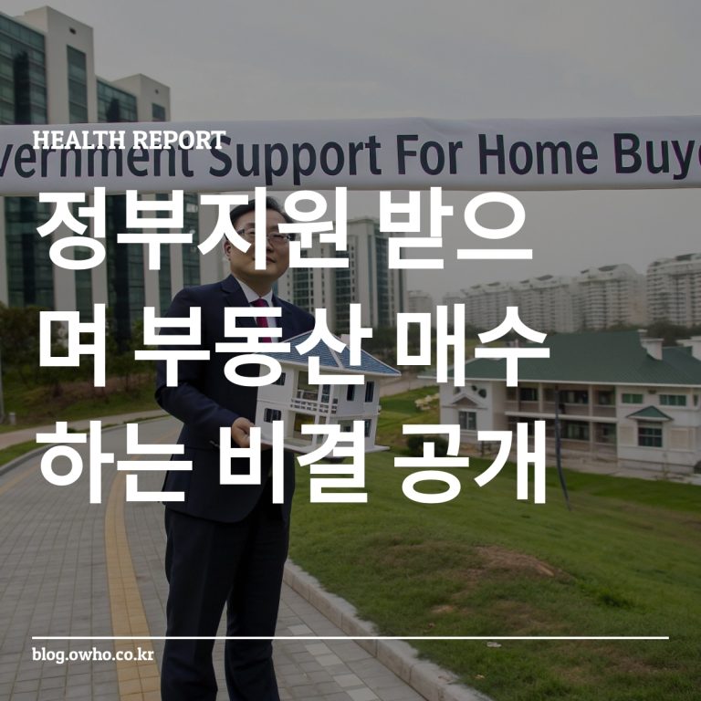 정부가 주택 구매자를 지원하는 장면