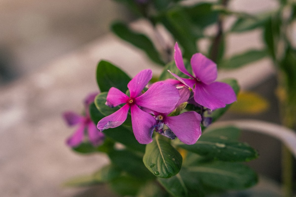 🏠 동탄 그웬 160: 신주거문화타운 와이드 테라스 홈, 초품아 & GTX-A 호재 집중 분석! - 이미지 3