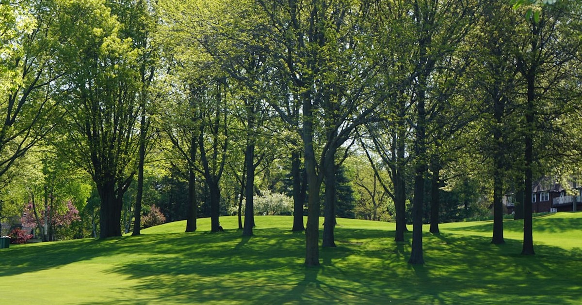 “강서구 첫 래미안”…삼성물산, 방화뉴타운 ‘래미안 엘라비네’ 공급