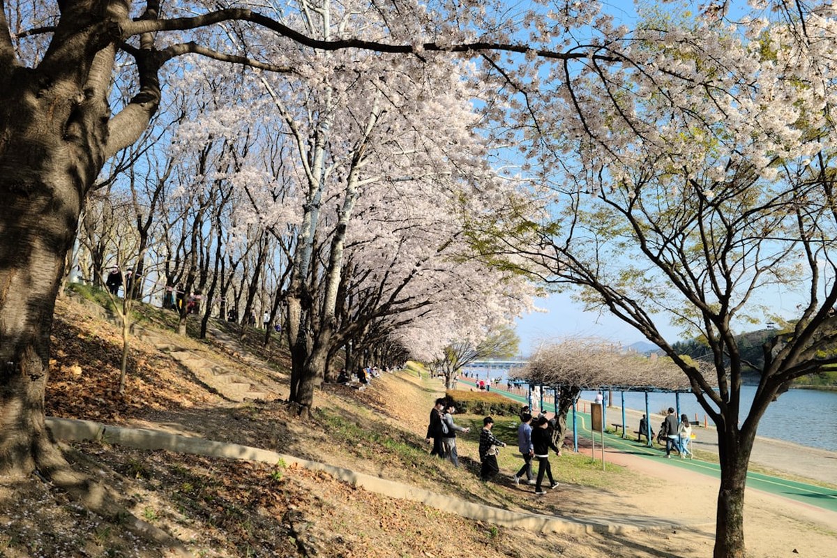 천안 주거축 성성호수공원 이동 본격화, 계룡건설 ‘엘리프’ 분양 개시 - 이미지 1