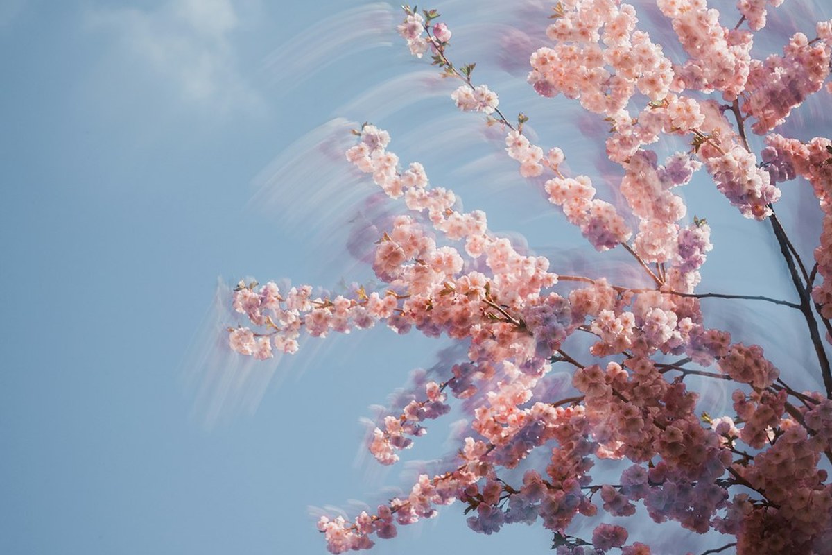 봄 이사철 대구 전세 매물 급감…1년 만에 물건 40% 사라져 - 이미지 2