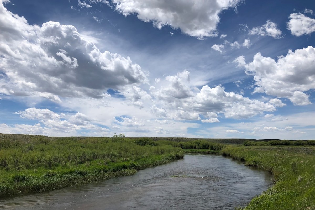 🏠 노량진 '아크로 리버스카이' 5월 분양! 987가구 중 285가구 일반 분양, 교통·교육·개발 호재 총정리 ✅ - 이미지 3
