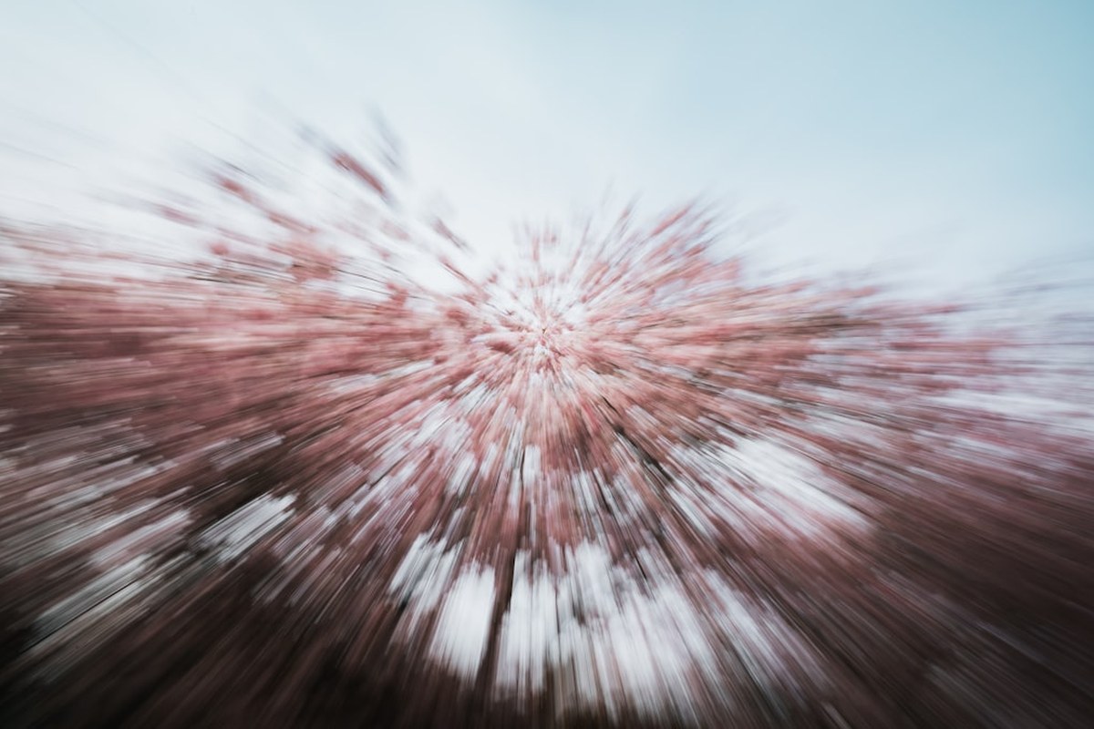 봄 이사철 대구 전세 매물 급감…1년 만에 물건 40% 사라져 - 이미지 3