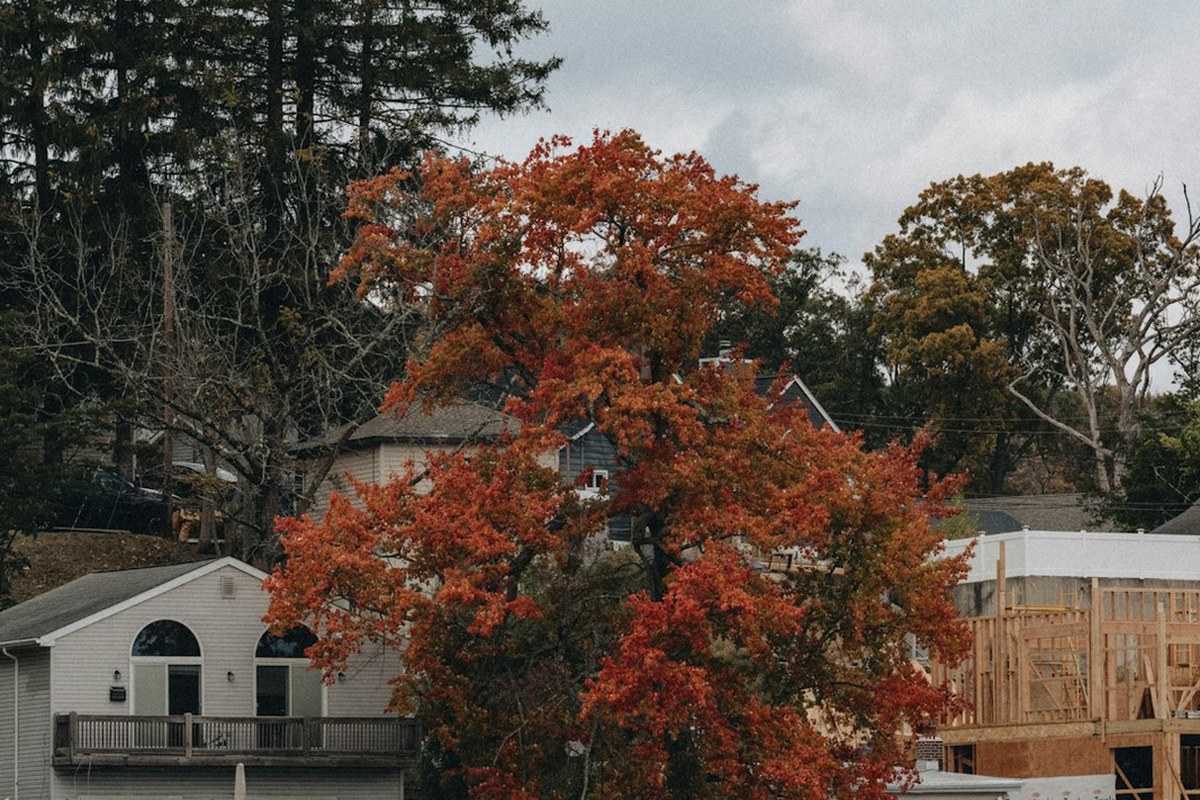 🚨 갭투자 비중 20%대 급감! 서울 부동산 시장, '전세 끼고 사던 시대' 정말 끝났나? - 이미지 3