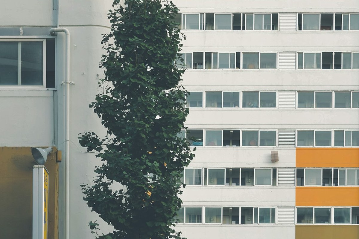 5월 전국 아파트 1.9만가구 분양…전년비 76% 증가 - 이미지 3