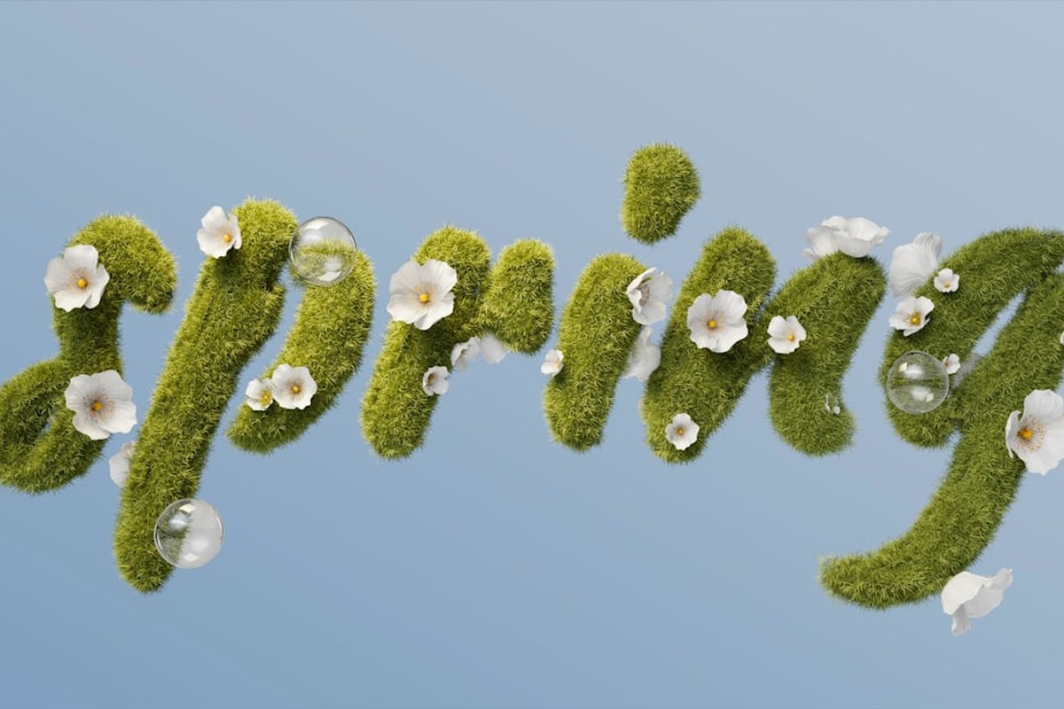 봄 이사철 대구 전세 매물 급감…1년 만에 물건 40% 사라져 - 이미지 4