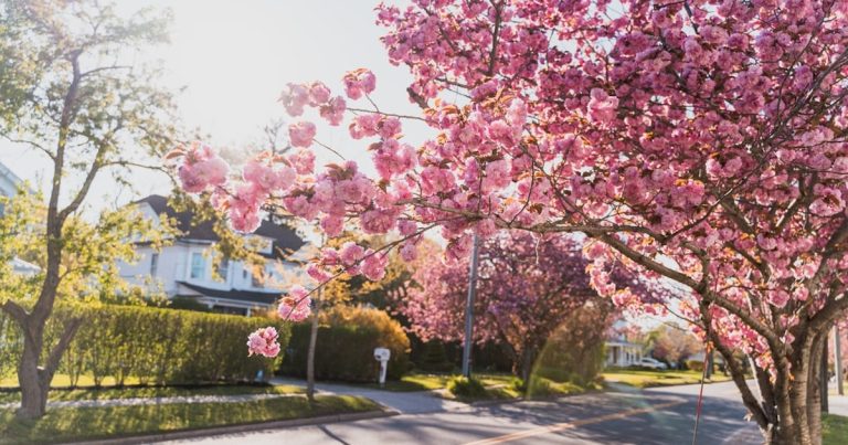 봄 이사철 대구 전세 매물 급감…1년 만에 물건 40% 사라져