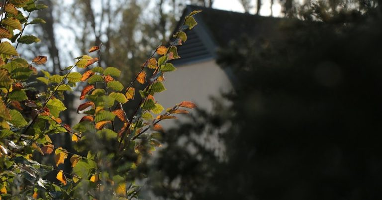 🚨 갭투자 비중 20%대 급감! 서울 부동산 시장, '전세 끼고 사던 시대' 정말 끝났나?