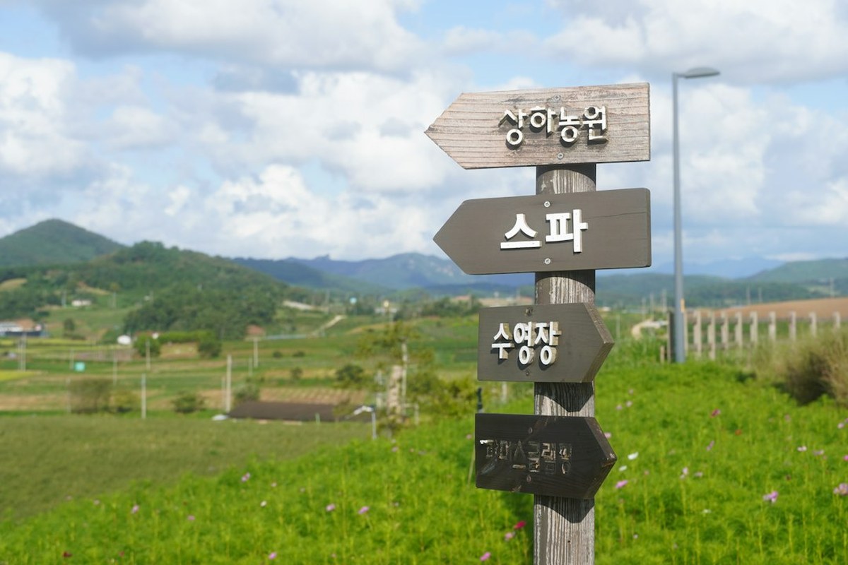 ✅ 농지 전수조사, 농촌의 '경자유전' vs '현실' 충돌! 🏠 당신의 농지는 안전한가요? - 이미지 1
