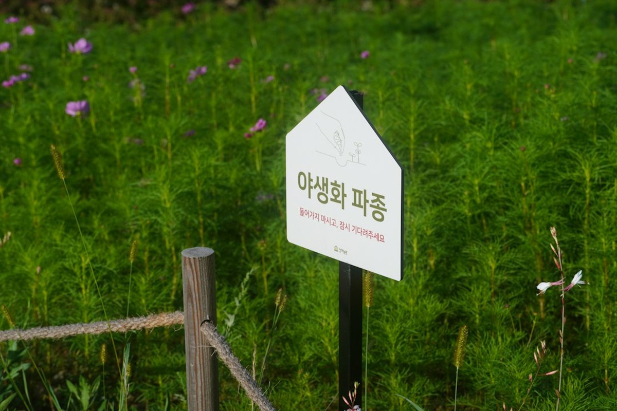 ✅ 농지 전수조사, 농촌의 '경자유전' vs '현실' 충돌! 🏠 당신의 농지는 안전한가요? - 이미지 2